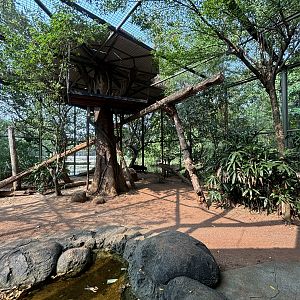 Javan Leopard Exhibit