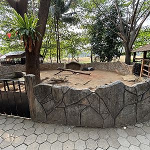 Malayan Tapir Exhibit