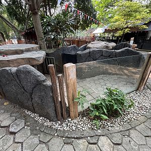 Malayan Porcupine Exhibit
