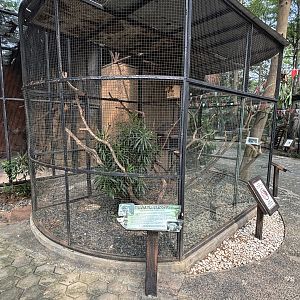 Spectral Tarsier Exhibit