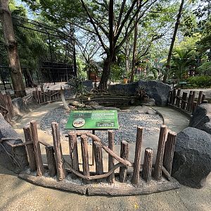 Leopard Tortoise Exhibit