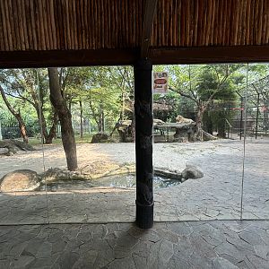 White Lion Exhibit