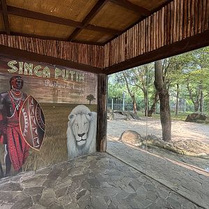 White Lion Exhibit