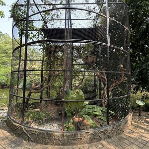 Lesser Bird of Paradise Aviaries