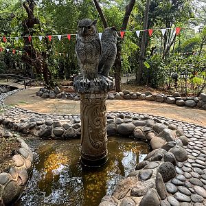 Bird of Prey Zone - tethered birds