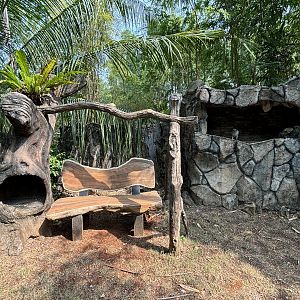 Bird of Prey Zone - tethered birds