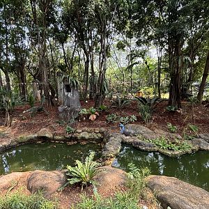 Bird of Prey Zone - tethered birds