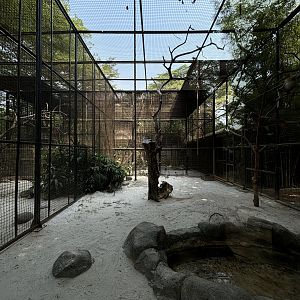 Proboscis Monkey Exhibit