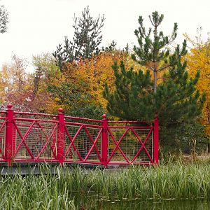 Exploration Asia Landscaping (Fall 2020)