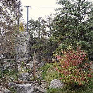 Wild Canada: Jihad Shibley Rocky Mountain Aviary Looking Back