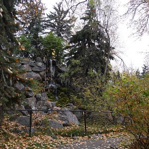 Wild Canada: Former Bald Eagle Aviary