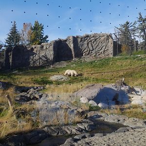Wild Canada: TFF Polar Bear Sanctuary East End