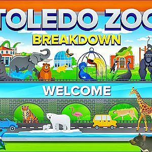 The Beginner's Guide to the Toledo Zoo