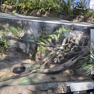 Wetlands of Florida - crested caracara enclosure
