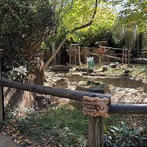 Prehensile Tailed Porcupine and Sloth Exhibit