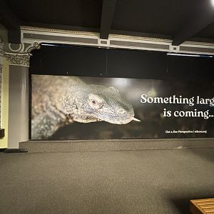 Future Komodo Dragon Exhibit