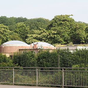 Backside of the elephant building, seen from the Mülheimer Straße, 2024-06-08