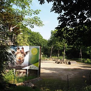 Former giraffe paddock, now temporary Greater rhea, Patagonian mara and Vicuña paddock, seen from the Mülheimer Straße, 2024-06-08