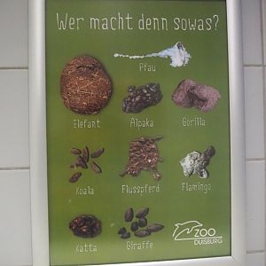 Animal feces sign, 2024-06-08