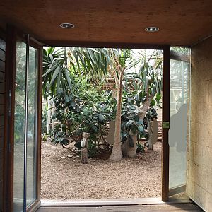 Former giraffe house viewing area, 2024-06-08