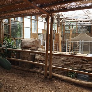 Former giraffe house viewing area, 2024-06-08