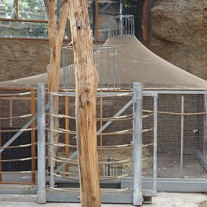 Holding aviary in one of the former giraffe indoor paddocks, 2024-06-08