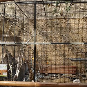 Village weaver aviary in the former giraffe house, 2024-06-08
