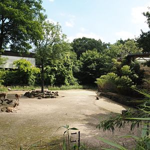 Former giraffe paddock, currently temporarily home to Greater rheas, Patagonian maras and Vicuñas, 2024-06-08