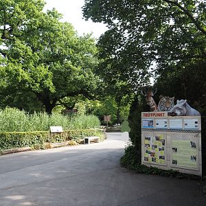 Walkway towards elephants and pelican pond, 2024-06-08