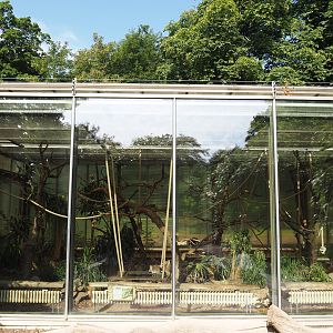 Ring-tailed lemur indoor housing, 2024-06-08