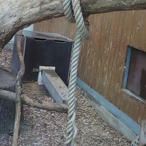Nesting box for Malagasy giant jumping rats in black-and-white ruffed lemur indoor housing, 2024-06-08