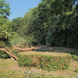 Pelican, flamingo and turtle pond, land area, 2024-06-08