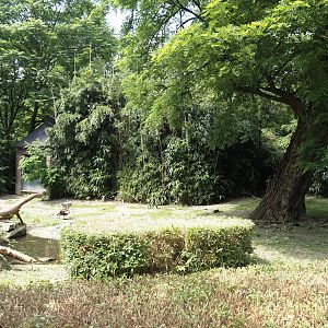 Pelican, flamingo and turtle pond, land area, 2024-06-08