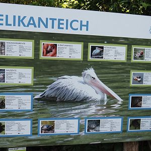 Pelican pond signage, 2024-06-08