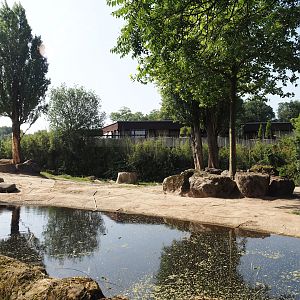 First African bush elephant paddock, 2024-06-08