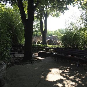 Sitting area near one of the African bush elephant paddocks, 2024-06-08