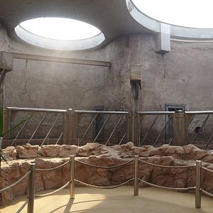 African bush elephant indoor housing, 2024-06-08