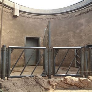 African bush elephant indoor housing, 2024-06-08