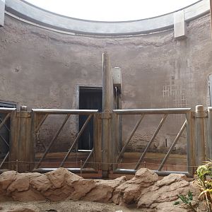 African bush elephant indoor housing, 2024-06-08