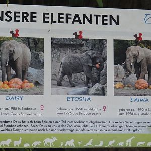 Elephants kept at Duisburg signage, 2024-06-08