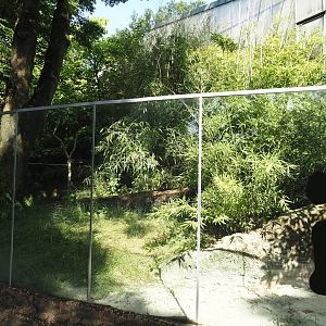 Giant otter exhibit, 2024-06-08