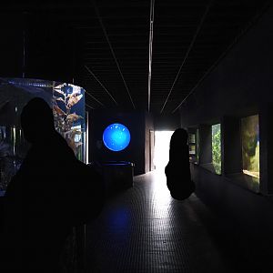 View in the aquarium building, 2024-06-08