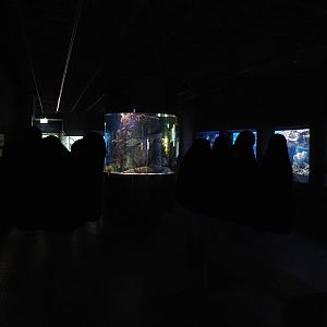 View in the aquarium building, 2024-06-08