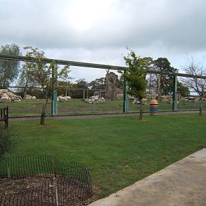 Baboon enclosure