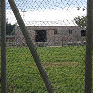 The new Giraffe House