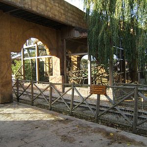 White-crowned Mangabey enclosure