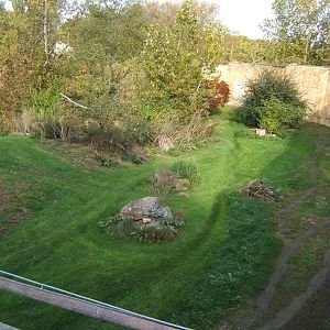 View of Tiger enclosure