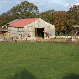 The old Giraffe House