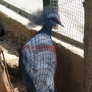 Parco Ornitologico Villa d'Orleans, Palermo