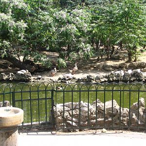 Parco Ornitologico Villa d'Orleans, Palermo